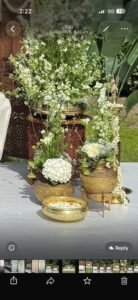 Mistique Events